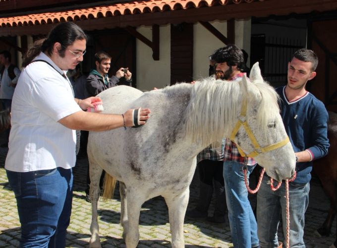 tay park in universiteli gonulluleri